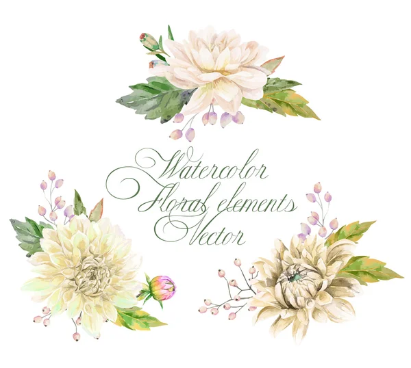 Tasarım için çiçek elementleri kümesi.