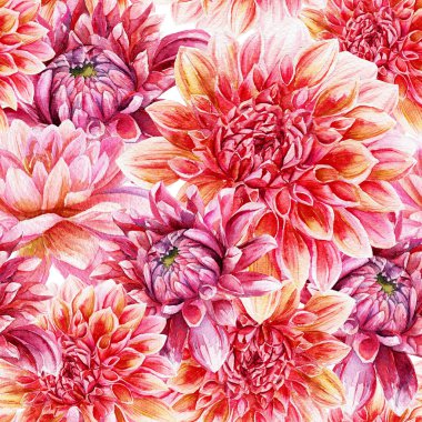 Kırmızı dahlia ile Seamless Modeli.