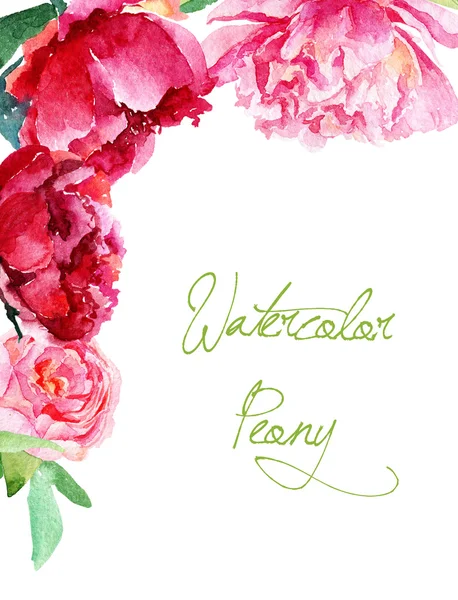 Davetiye. Pembe ve kırmızı sulu boya peonies.