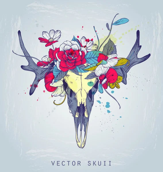 Skull of deer in flowers. — Stock Vector