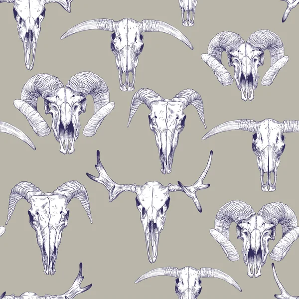 Bezešvé pattern s lebek jelenů, býka, koz a ovcí. — Stockový vektor