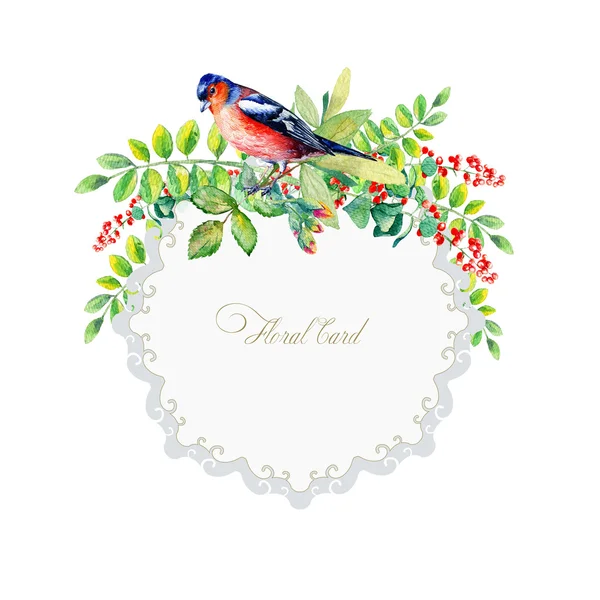 Round frame of watercolor colorful bird and some leaves, berries — Stock Photo, Image