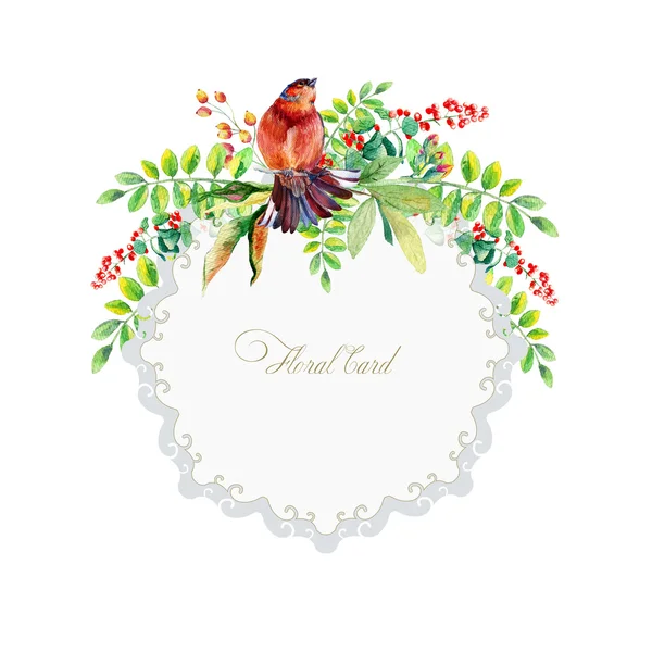 Round frame of watercolor colorful bird and some leaves, berries — Stock Photo, Image