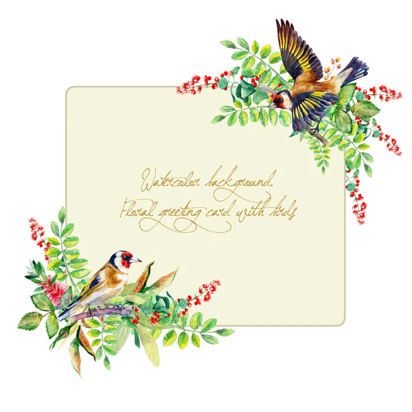 Frame of colorful watercolor  goldfinch and some leaves, berries — Stock Photo, Image