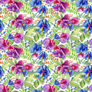 Pembe ile Seamless Modeli mavi tatlı bezelye, Lathyrus odoratus, l