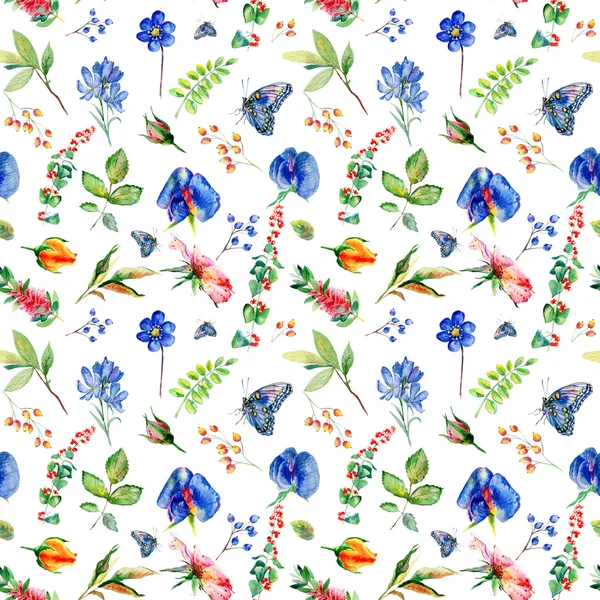 Motif sans couture avec pois doux bleu, Lathyrus odoratus, feuilles . — Photo