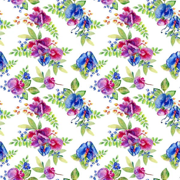 Motif sans couture avec rose, pois doux bleu, Lathyrus odoratus, l — Photo