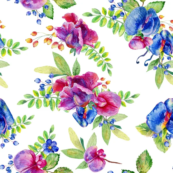 Patrón sin costuras con rosa, azul Guisante dulce, Lathyrus odoratus, l — Foto de Stock