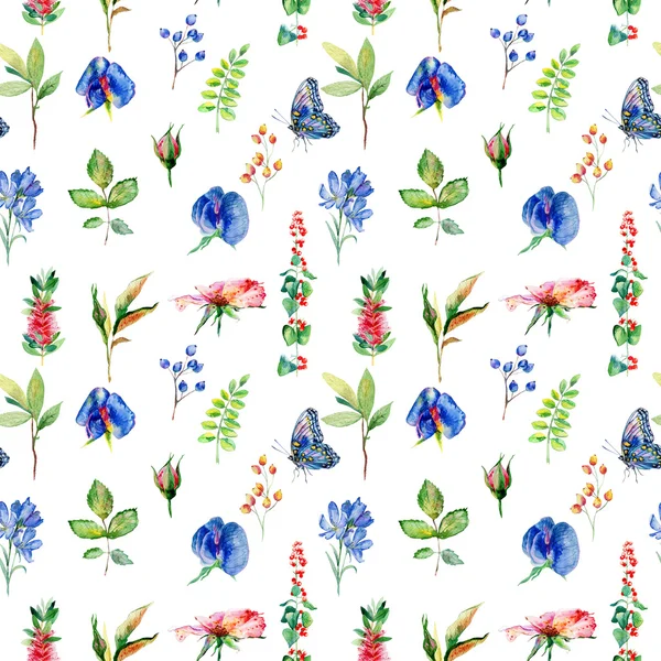 Motif sans couture avec pois doux bleu, Lathyrus odoratus, feuilles . — Photo