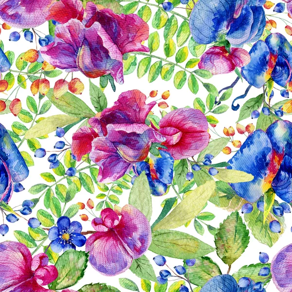 Seamless pattern with pink, blue Sweet pea, Lathyrus odoratus, l — Stock Photo, Image