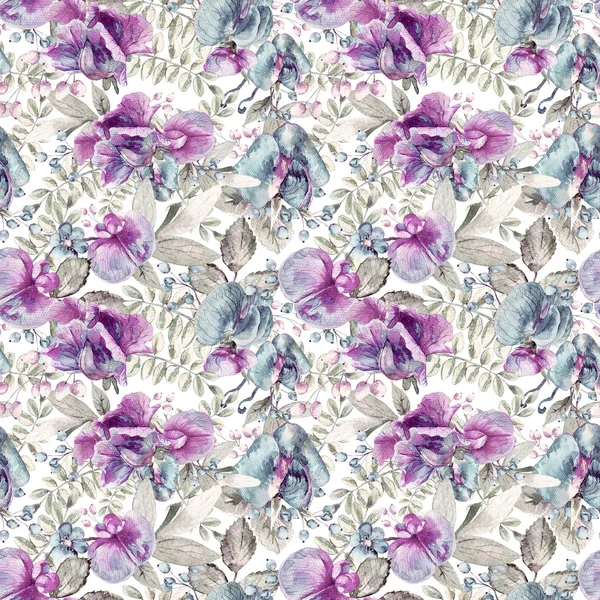 Bezešvé pattern s růžovou, modrou, sladký hrášek, Lathyrus odoratus, l — Stock fotografie