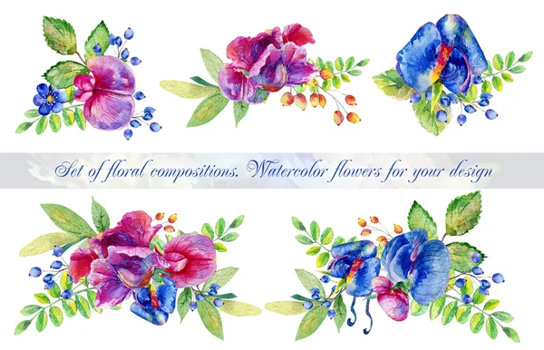 Satz von fünf Aquarell floralen Kompositionen. — Stockfoto