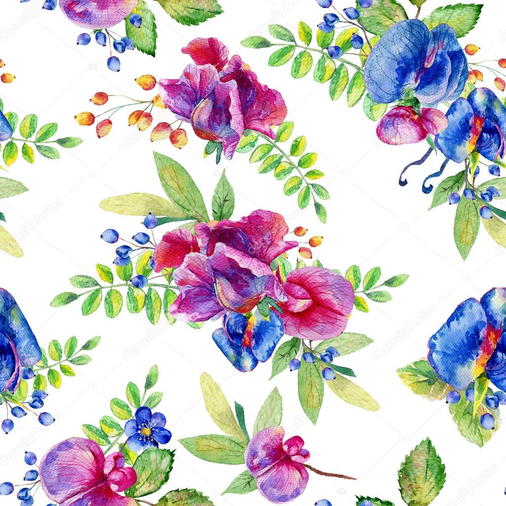 Seamless pattern with pink, blue Sweet pea, Lathyrus odoratus, l