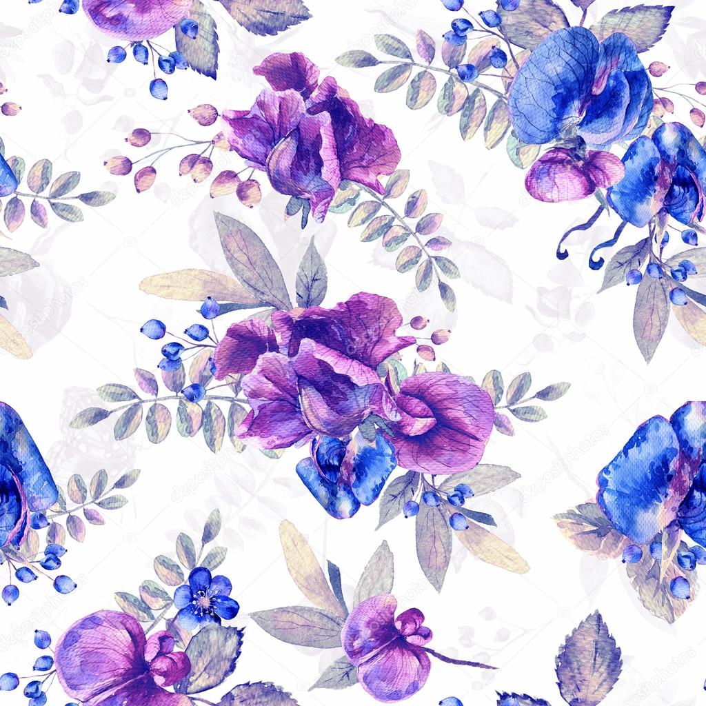 Seamless pattern with pink, blue Sweet pea, Lathyrus odoratus, l