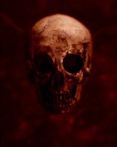 Caveira Grunge assustador isolado em Brown Background Design para impressão de t-shirt com papel de parede de Halloween crânio — Fotografia de Stock