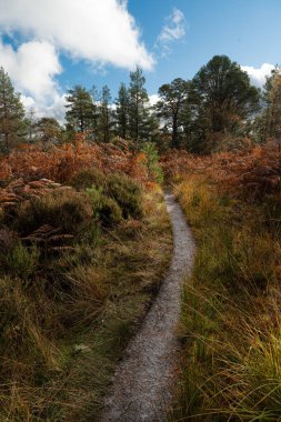 İskoçya 'da yürüyüş yolu, Glen Affric İskoçya