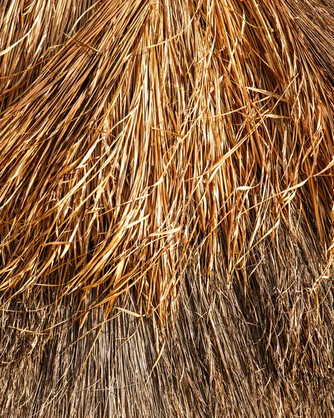 Thatched roof background or texture — Stock Photo, Image