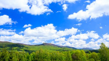 Bieszczady Dağlar, Polonya