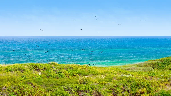 Isla Contoy paesaggio, Messico — Foto Stock