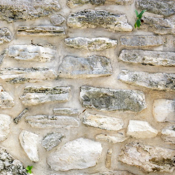 Sandstone texture — Stock Photo, Image