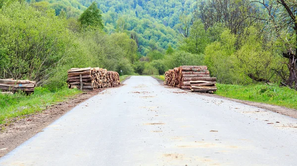 Troncos de madera — Foto de Stock