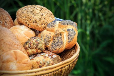 ekmek farklı türleri