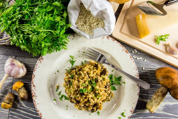 Risotto italiano con setas — Foto de Stock