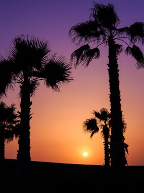 Günbatımında agadir, morocco