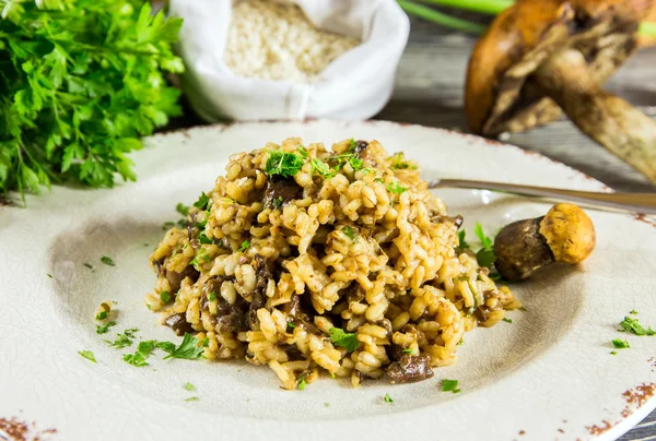 Risotto italiano con setas — Foto de Stock