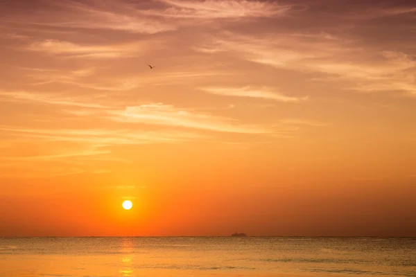 Nascer do sol sobre o mar do Caribe — Fotografia de Stock