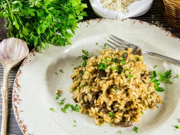 Risotto italiano con setas — Foto de Stock