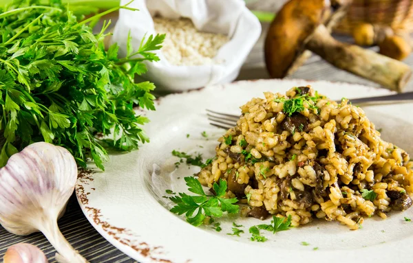 Risotto italiano con setas — Foto de Stock