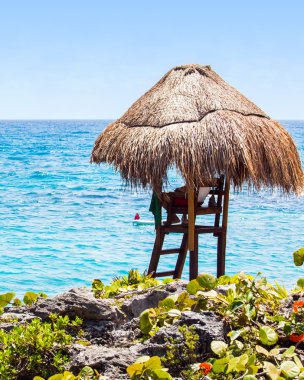 cankurtaran kulübe Meksika kıyısında