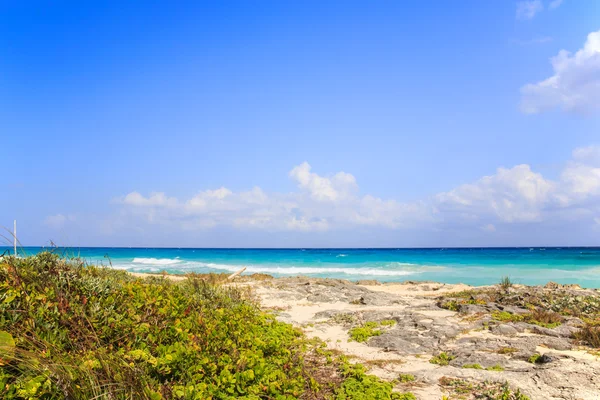 Strand Playa del Carmen, Mexiko — Stockfoto