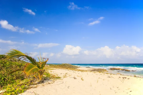 Spiaggia di Playa del Carmen, Messico — Foto Stock