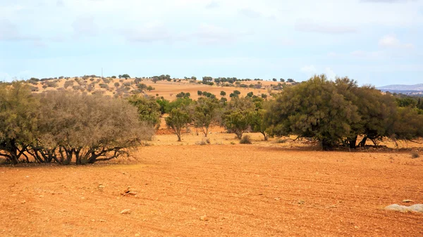 Marokkaanse landschap — Stockfoto