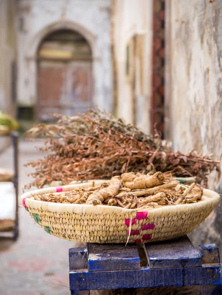 Byliny a druhy v Essaouira, Marokem — Stock fotografie