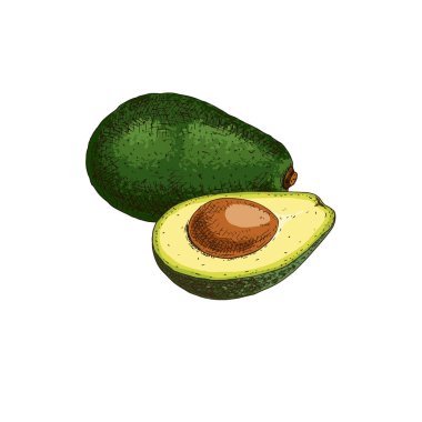 El yapımı avokado. Vektör illüstrasyonu beyaz arkaplanda izole edildi.