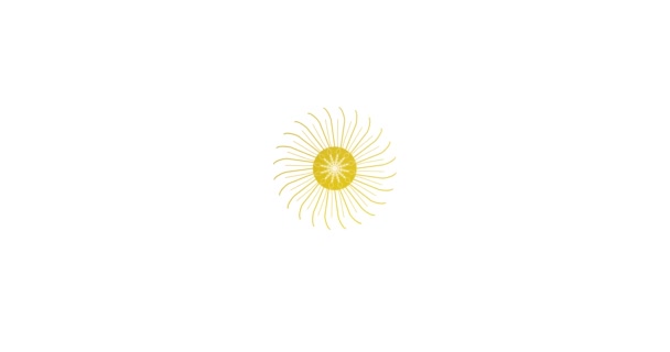 Branco ouro decorativo floral mandala fundo — Vídeo de Stock