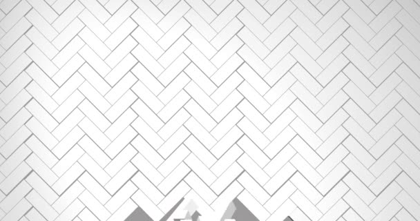 Herringbone Style Blocks Building Gray Background — Stock Video