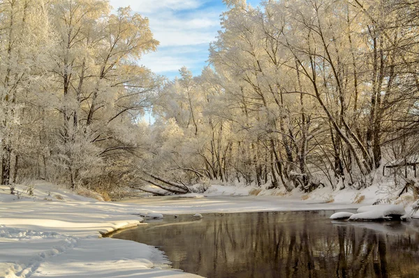 Vinterlandskap av snötäckta fält, träd och flod i tidig dimmig morgon — Stockfoto