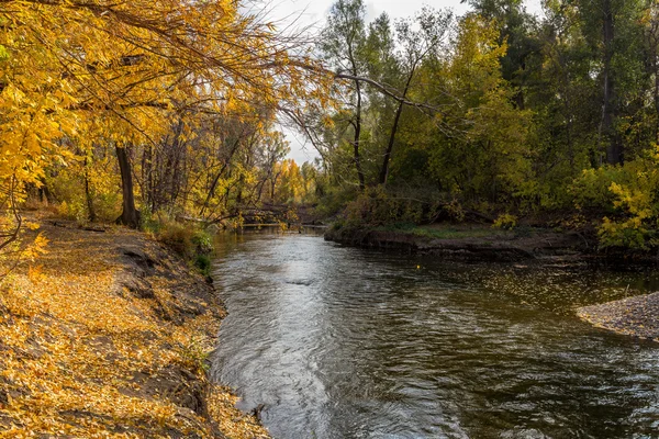 Herbstlandschaft mit Bäumen und Fluss — Stockfoto