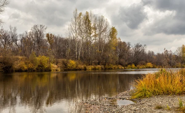 Herbstlandschaft mit Bäumen und Fluss — Stockfoto