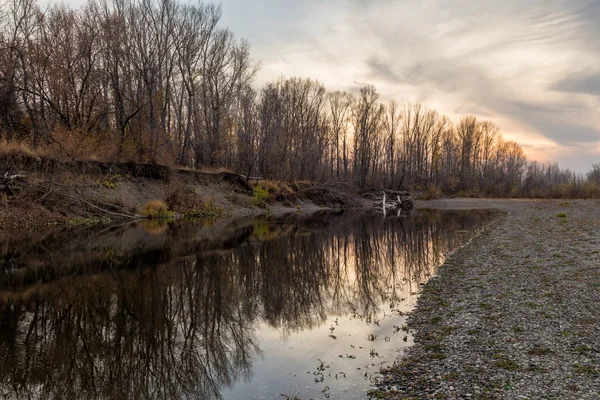 Herbstlandschaft mit Bäumen und Fluss — Stockfoto