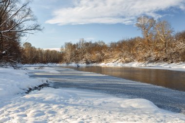 Güzel kış günbatımı Karda ağaçlarla