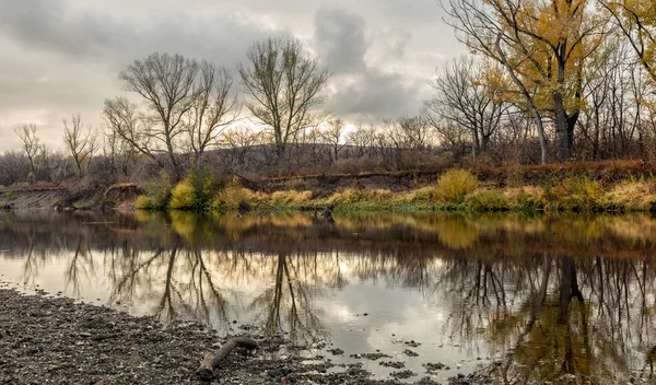 Höst landskap med träd och flod — Stockfoto