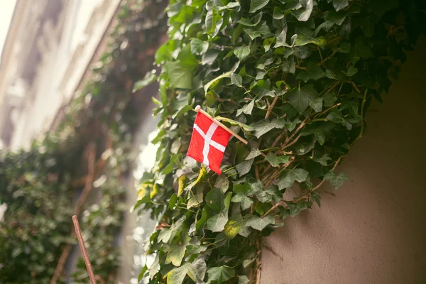 Die dänische Flagge an der Wand — Stockfoto