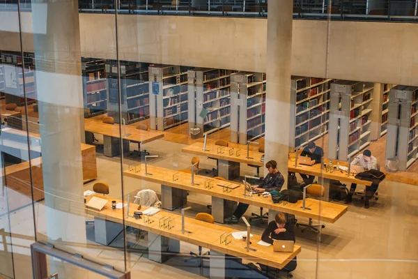 Black Diamond kütüphane iç