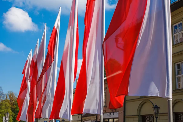 Polnische Flaggen in Krakau — Stockfoto