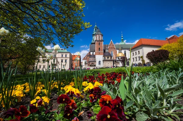 Utsikt over Wawel Cathedral i Krakow – stockfoto